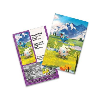 Pokémon TCG: Mega Evolution - Ascended Heroes Mini Tin (Togepi & Totodile)