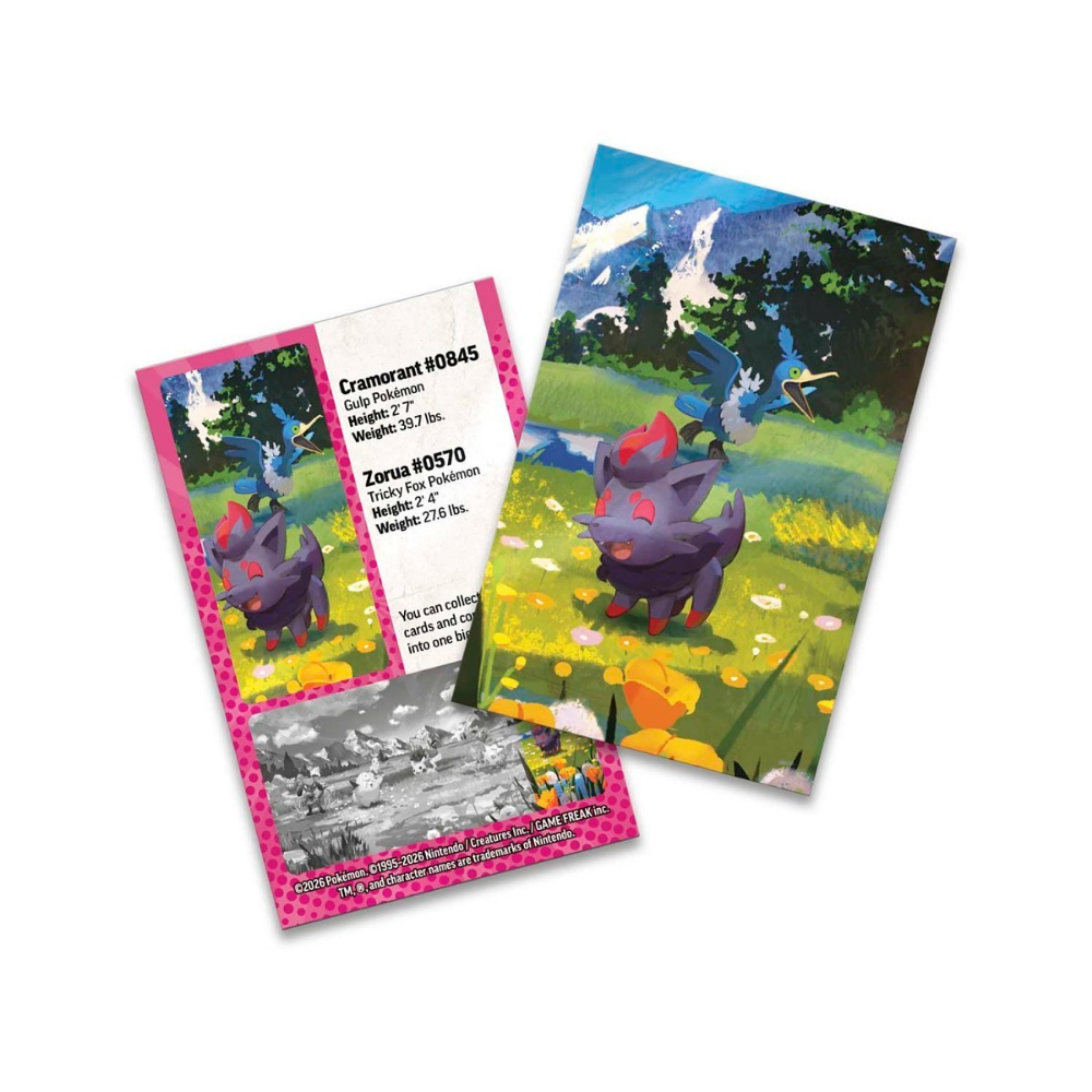 Pokémon TCG: Mega Evolution - Ascended Heroes Mini Tin (Zorua & Cramorant)
